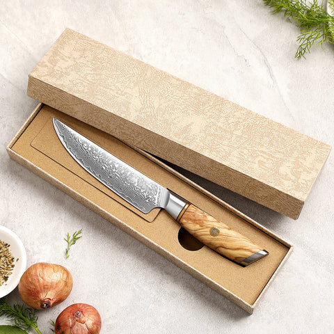 Blaze Series 5 Inch  Damascus Steel Steak Knife