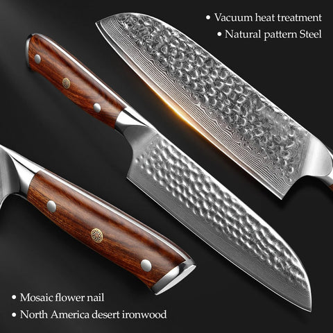 Bold Dynasty Series Damascus Steel Santoku Knife