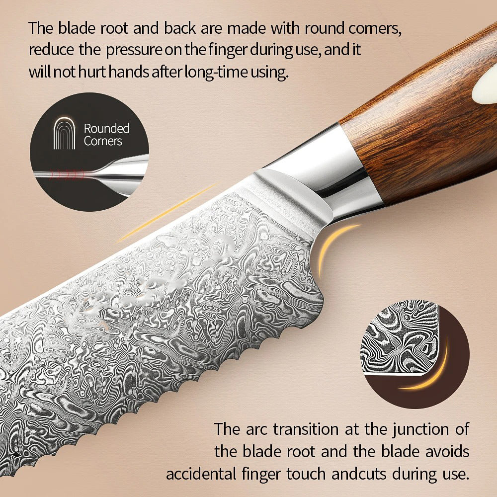 Bold Dynasty series 8 Inch Damascus Steel Bread Knife