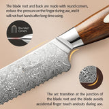 Bold Dynasty series 8 Inch Damascus Steel Bread Knife