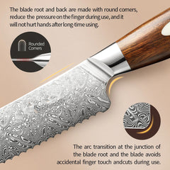 Bold Dynasty series 8 Inch Damascus Steel Bread Knife