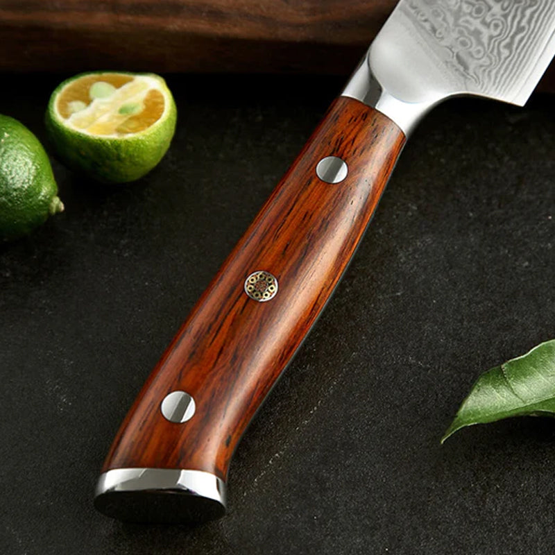 Bravo Series 2pcs Damascus Steel Chef And Utility Knife Set With Iron Wood Handle