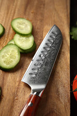 Bold Radiance Series 5 inch Damascus Steel Santoku Knife