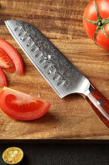 Bold Radiance Series 5 inch Damascus Steel Santoku Knife