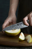 Bold Radiance Series 5 inch Damascus Steel Utility Knife
