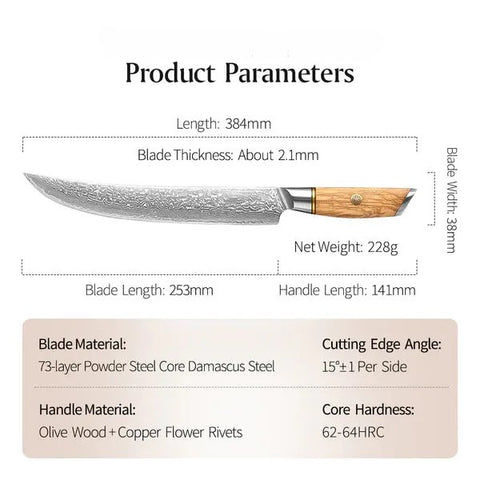 Blaze Series 10 Inch Damascus Steel Carving Knife