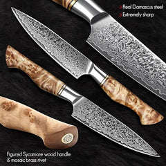 B30 6 Pcs Damascus Knife Set, 1 Pc 8 ″ Chef Knife, 1 Pc 7 ″ Santoku Knife, 1 Pc 7 ″ Cleaver Knife, 1 Pc 5 Inch Utility Knife, 1 Pc 3.5 ″ Paring Knife, 1 Pc Magnet Stand  Having Figured Sycamore Wood Handle
