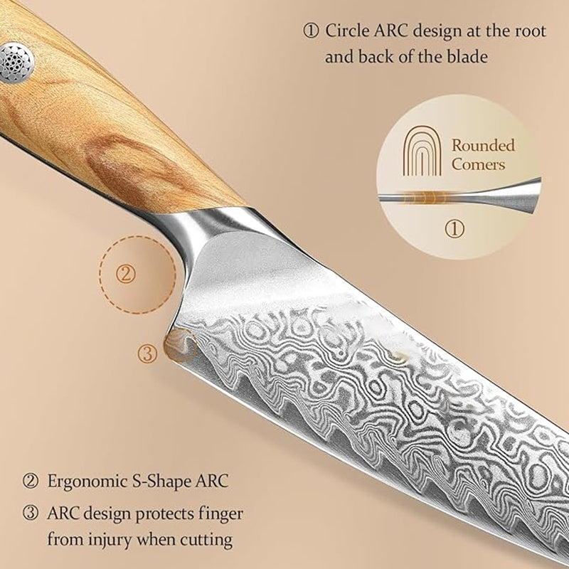 X01 5 Inch Utility Knife, 73 LAYERS Damascus STEEL WITH 14cr14v3monb POWDER STEEL Having Olive Wood Handle